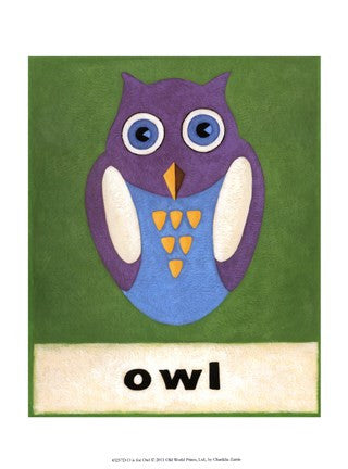 O is for Owl