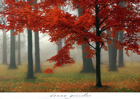 Autumn Mist II