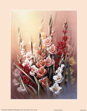 Gladiola