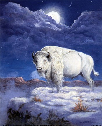 White Buffalo