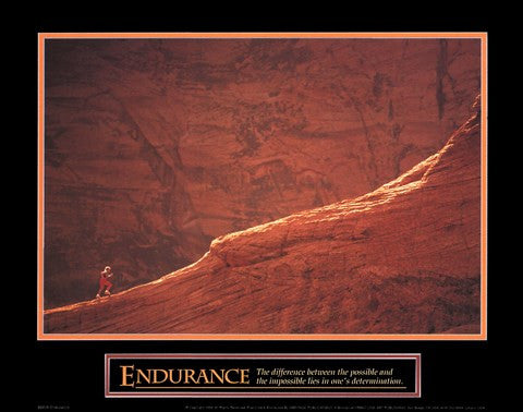 Endurance