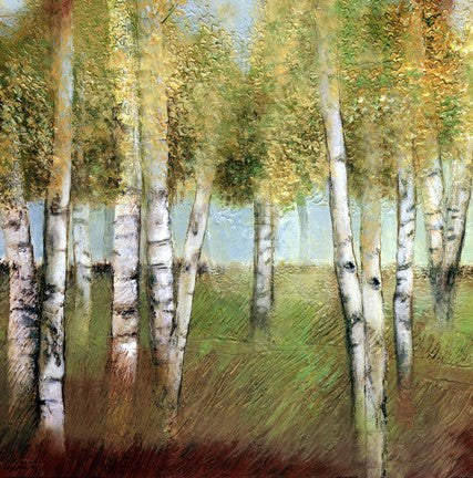 BIRCH WOODS II