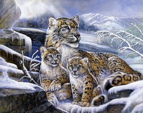 Snow Leopards