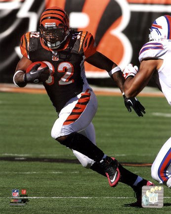 Cedric Benson 2011 Action