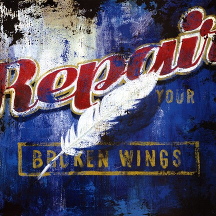 Repair Your Broken Wings