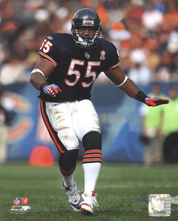 Lance Briggs 2011 Action