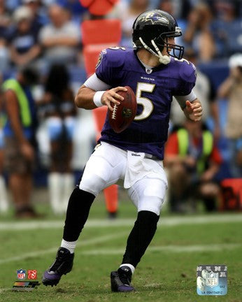 Joe Flacco 2011 Action