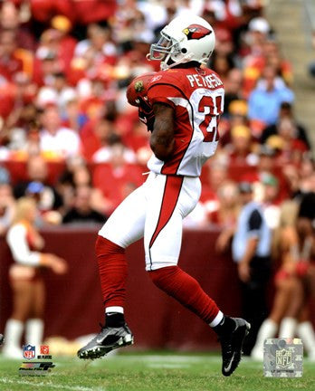 Patrick Peterson 2011 Action