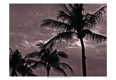 Palms At Night IV