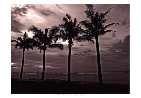 Palms At Night VI