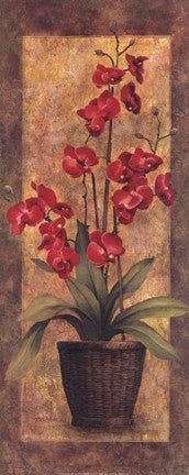 Potted Orchid - Red