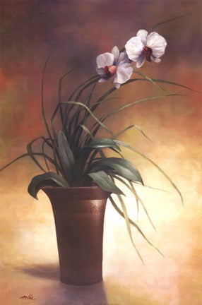 Flowering Orchid I