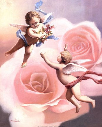 Cherubs' Rose