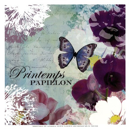 Papillon - mini