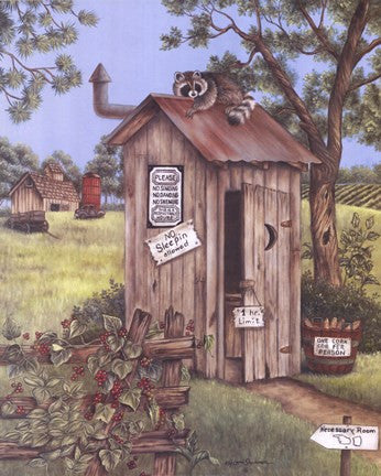 Outhouse - Raccoon