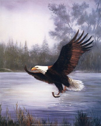 Eagle Fishing