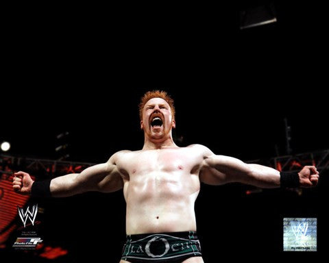 Sheamus 2011 Action