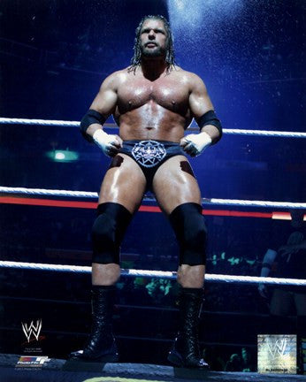 Triple H 2011 Action