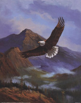 Eagle Gliding