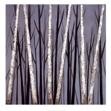 Birch Shadows