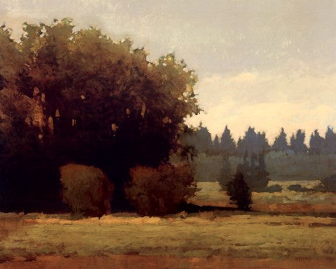 Evening Near Eugene