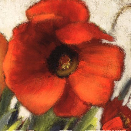 Poppy Splendor Square II (Close up)