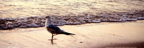 Hanging On The Beach I