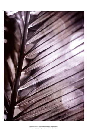 Silvery Frond II