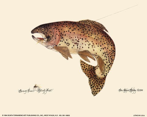 Brown Trout