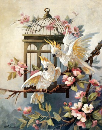 Cockatoo and Blossoms