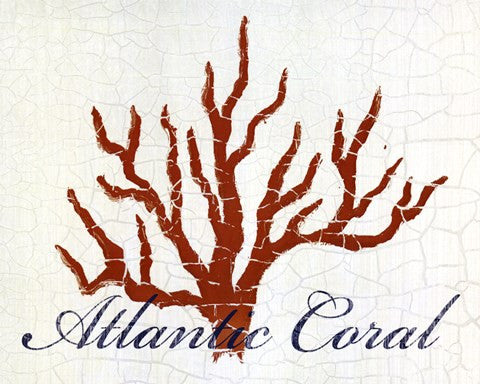 Atlantic Coral