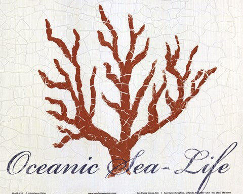 Oceanic Sea-Life