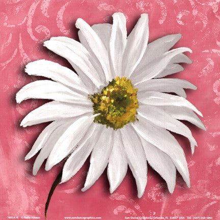 Blooming Daisy III