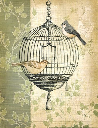 Botanical Birdcage I