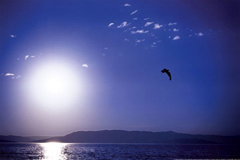 Flathead Lake