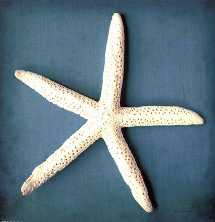 Sea Star II