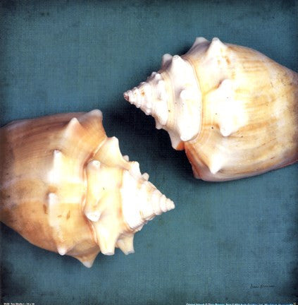 Two Shell I