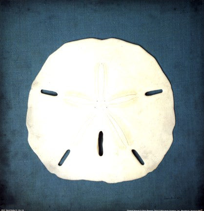 Sand Dollar II