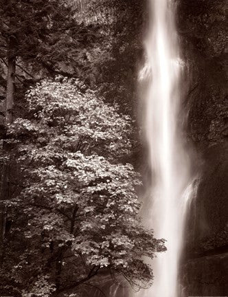 Multnomah Falls