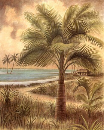 Island Palm II