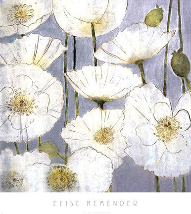 White Poppies