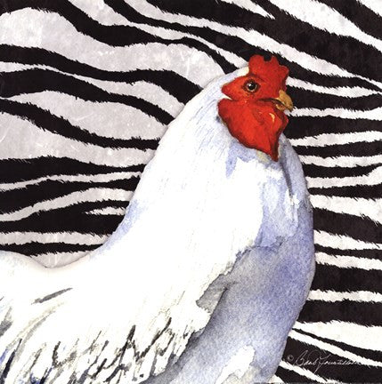 Zebra Rooster