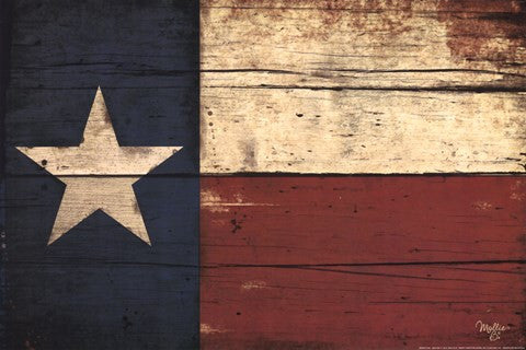 Texas Flag