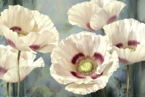 Tasmanian Poppies I