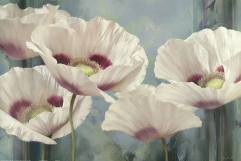 Tasmanian Poppies II