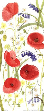 Meadow Poppies II