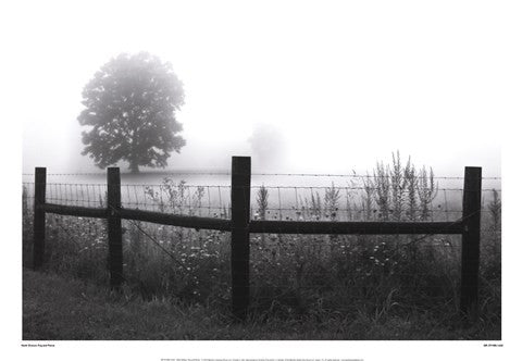 Fog and Fence