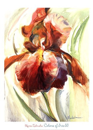 Colors of Iris II