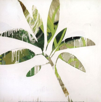 Tropical Landscape IV