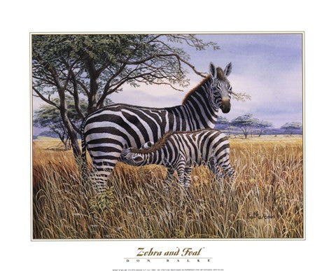 Zebra and Foal